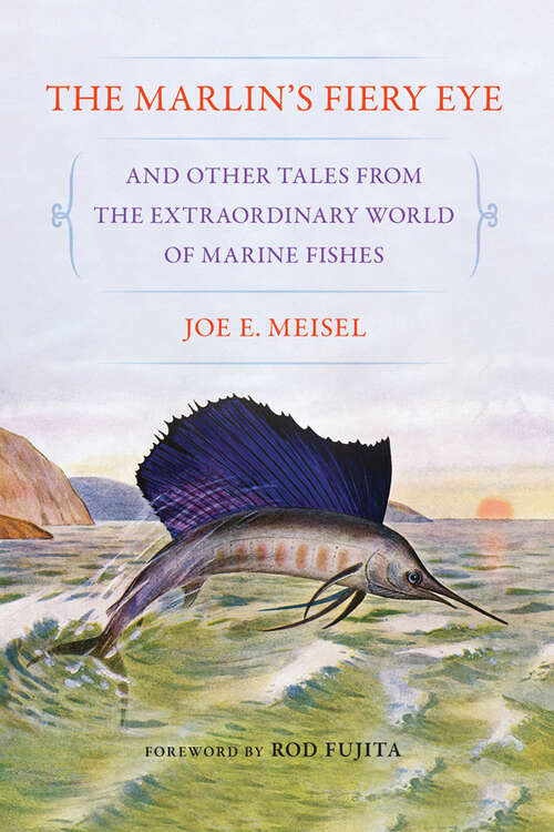Book cover of The Marlin's Fiery Eye and Other Tales from the Extraordinary World of Marine Fishes