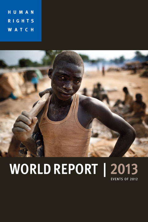 Book cover of World Report 2013