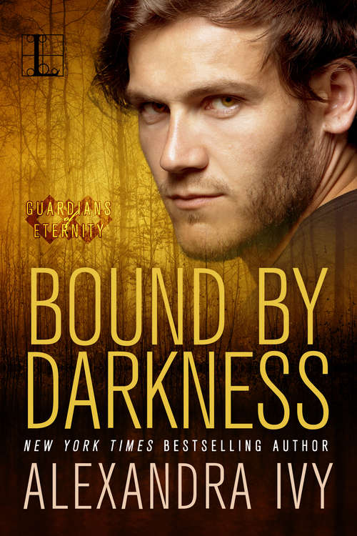 Book cover of Bound By Darkness (Guardians of Eternity #8)