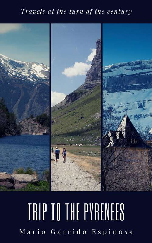 Book cover of Travels at the turn of the century: TRIP TO THE PYRENEES