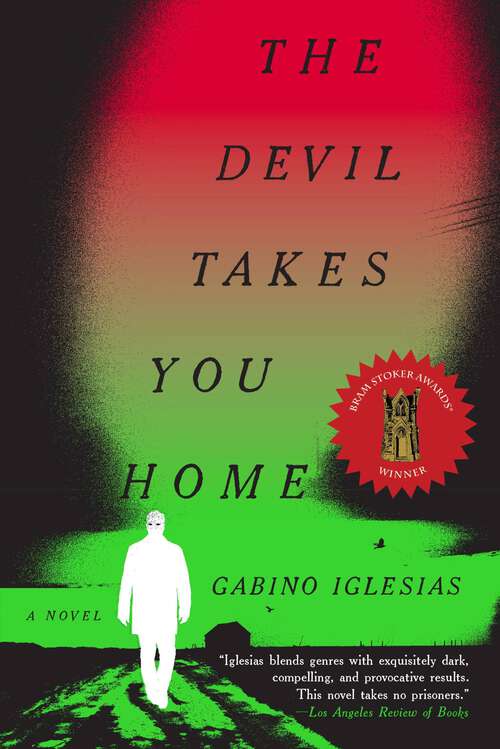 Book cover of The Devil Takes You Home: A Novel