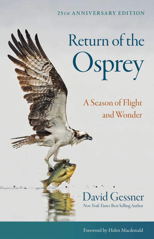 Book cover of Return of the Osprey: A Season of Flight and Wonder (25th Anniversary Edition)