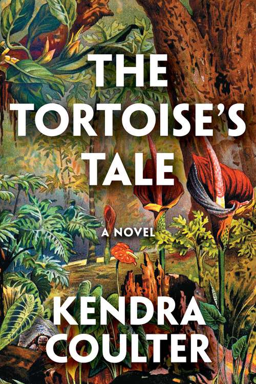Book cover of The Tortoise's Tale: A Novel (Canadian Edition)