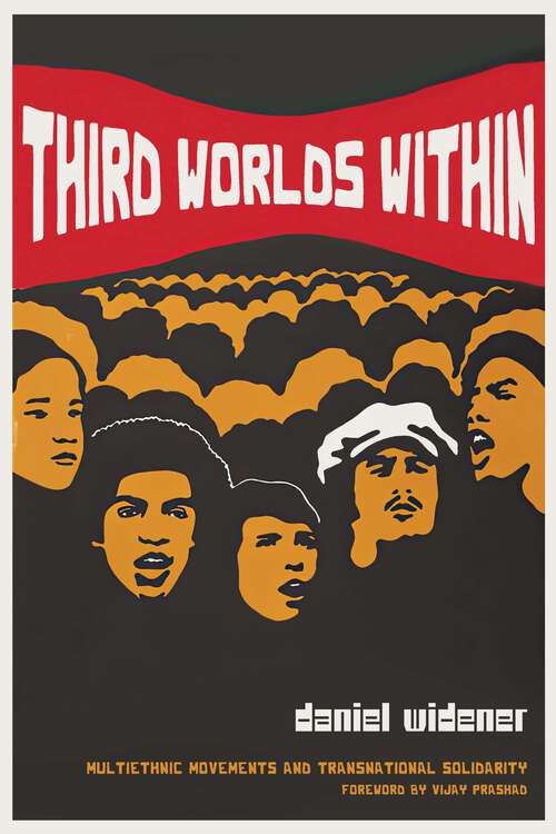 Book cover of Third Worlds Within: Multiethnic Movements and Transnational Solidarity