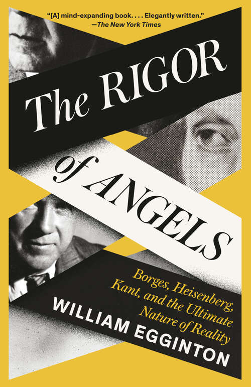 Book cover of The Rigor of Angels: Borges, Heisenberg, Kant, and the Ultimate Nature of Reality