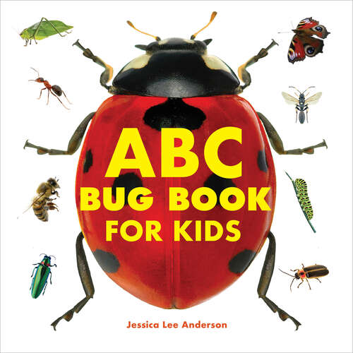 Book cover of ABC Bug Book for Kids