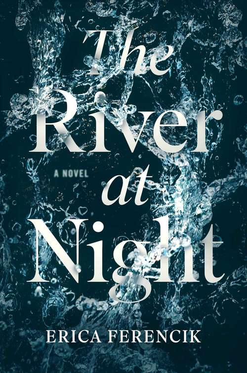 Book cover of The River at Night