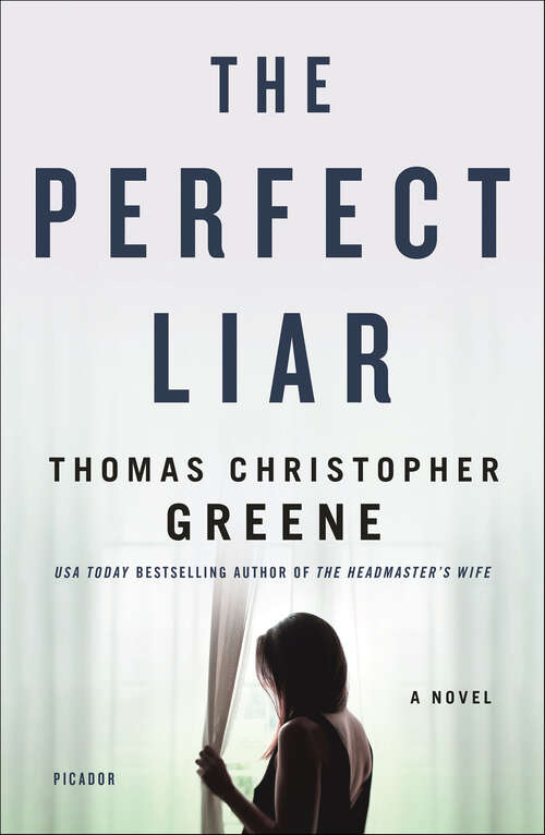 Book cover of The Perfect Liar: A Novel
