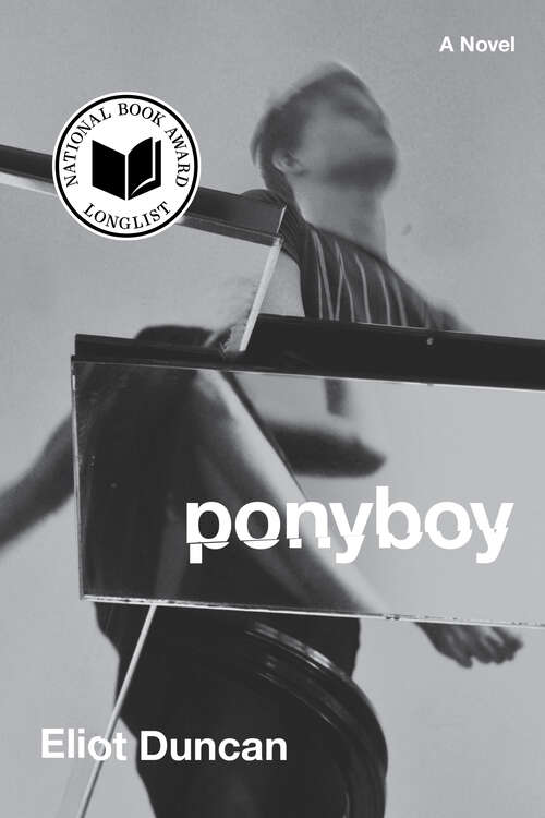 Book cover of Ponyboy: A Novel
