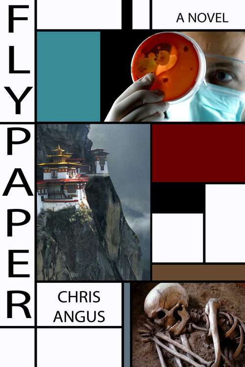 Book cover of Flypaper: A Novel
