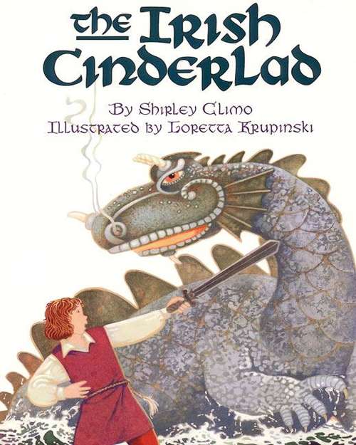 Book cover of The Irish Cinderlad