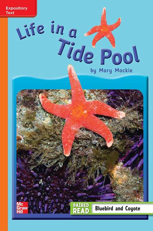 Book cover of Life in a Tide Pool [Approaching Level, Grade 3]