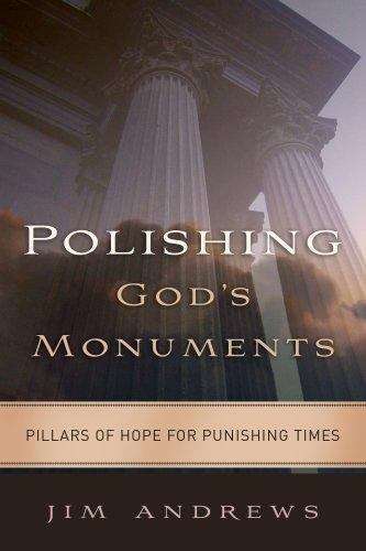 Book cover of Polishing God's Monuments: Pillars of Hope for Punishing Times