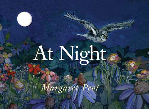 Book cover of At Night