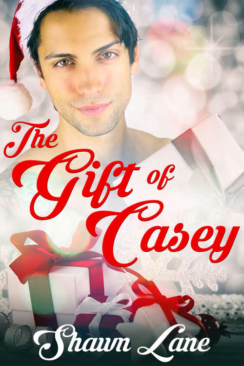 Book cover of The Gift of Casey