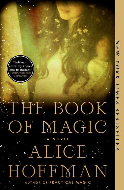 Book cover of The Book of Magic: A Novel (Practical Magic #4)