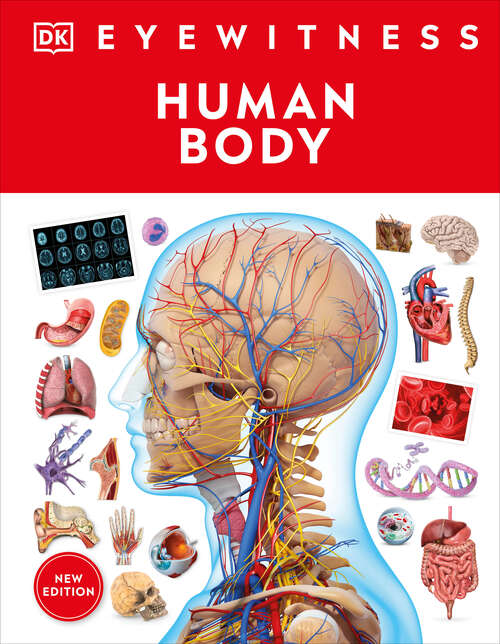 Book cover of Eyewitness Human Body (DK Eyewitness)