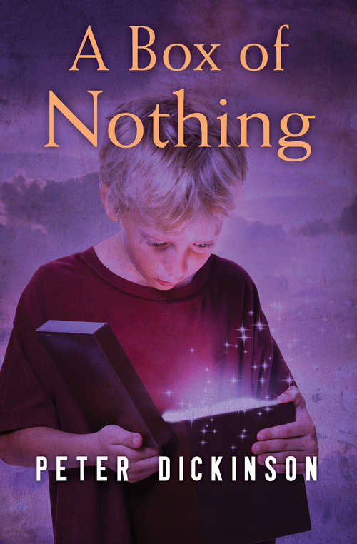 Book cover of A Box of Nothing