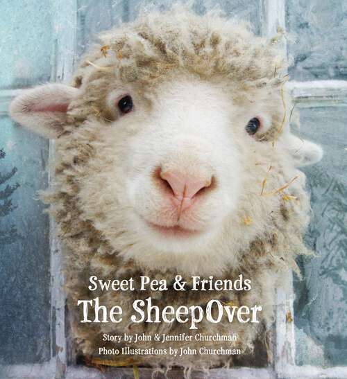 Book cover of The SheepOver