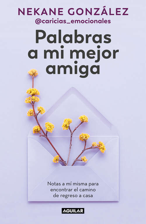 Book cover of Palabras a mi mejor amiga: Notas a mí misma para encontrar el camino de regreso a casa