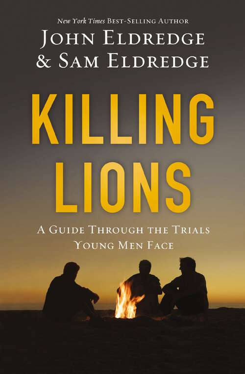 Book cover of Killing Lions