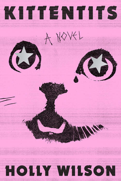 Book cover of Kittentits: A Novel