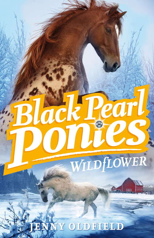 Book cover of Black Pearl Ponies: Book 2