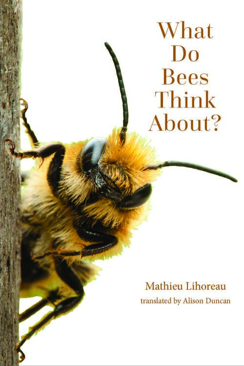 Book cover of What Do Bees Think About? (The\world Of Animals Ser.)