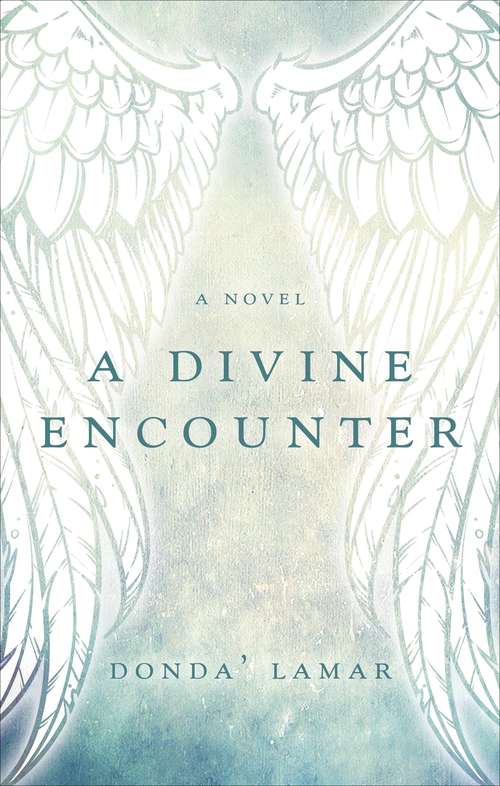 Book cover of A Divine Encounter: A Novel