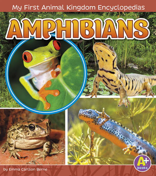 Amphibians (My First Animal Kingdom Encyclopedias Ser.)