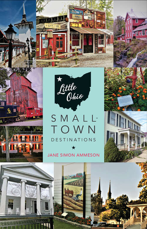 Book cover of Little Ohio: Small-Town Destinations
