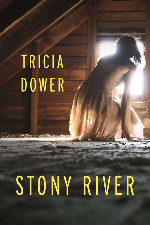 Book cover of Stony River