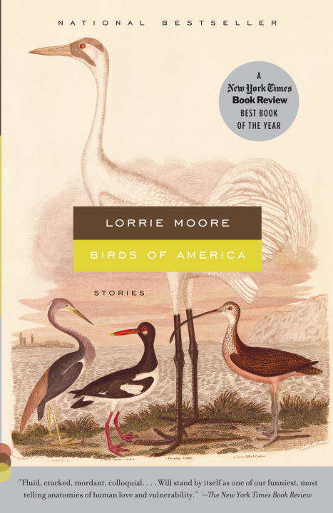 Book cover of Birds of America