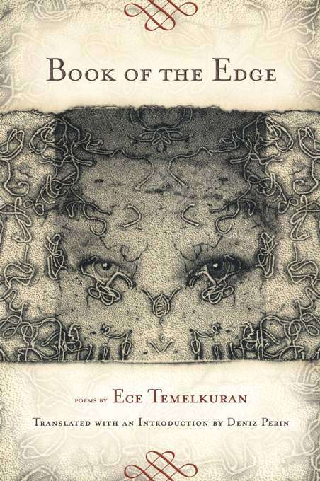 Book cover of Book of the Edge
