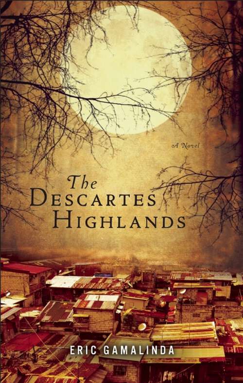 Book cover of The Descartes Highlands