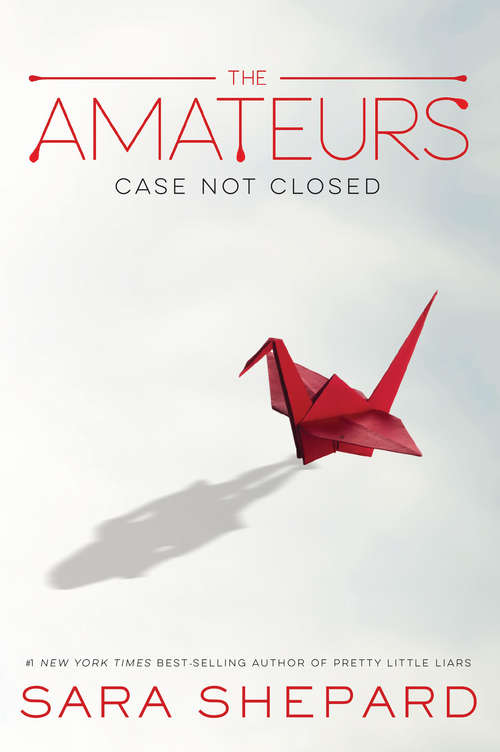 The Amateurs (The Amateurs #1)