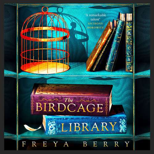 Book cover of The Birdcage Library: A spellbinding novel of hidden clues and dark obsession NEW for 2023
