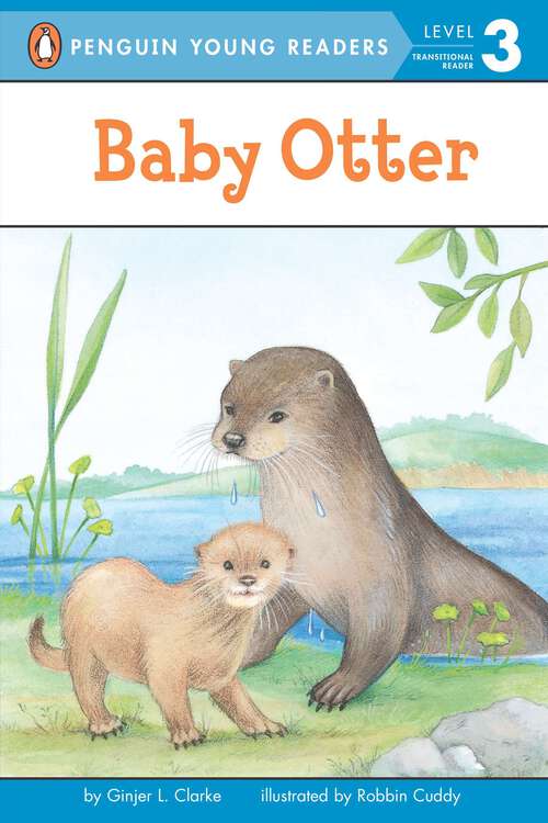 Book cover of Baby Otter (Penguin Young Readers, Level 3)