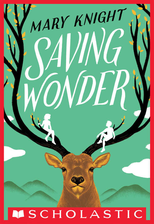 Book cover of Saving Wonder (Scholastic Press Novels)