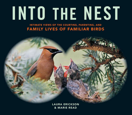 Into the Nest: Intimate Views of the Courting, Parenting, and Family Lives of Familiar Birds