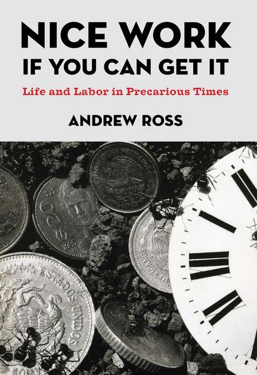 Nice Work If You Can Get It: Life and Labor in Precarious Times (NYU Series in Social and Cultural Analysis #8)