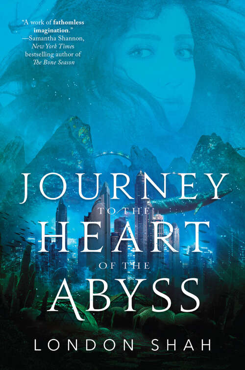 Book cover of Journey to the Heart of the Abyss (Light the Abyss #2)
