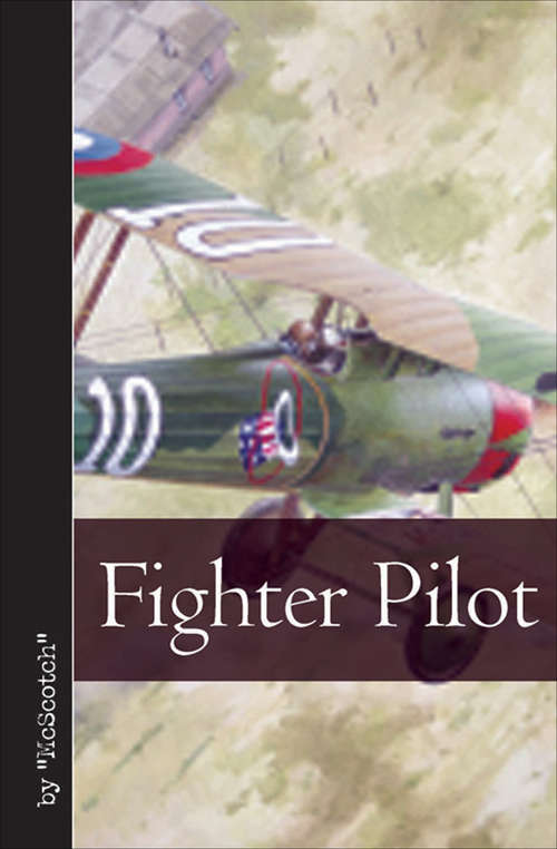 Book cover of Fighter Pilot (Vintage Aviation Library)