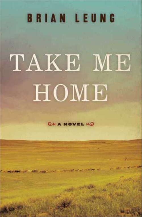 Book cover of Take Me Home: A Novel