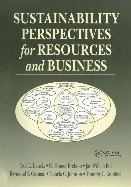 Book cover of Sustainability Perspectives for Resources and Business