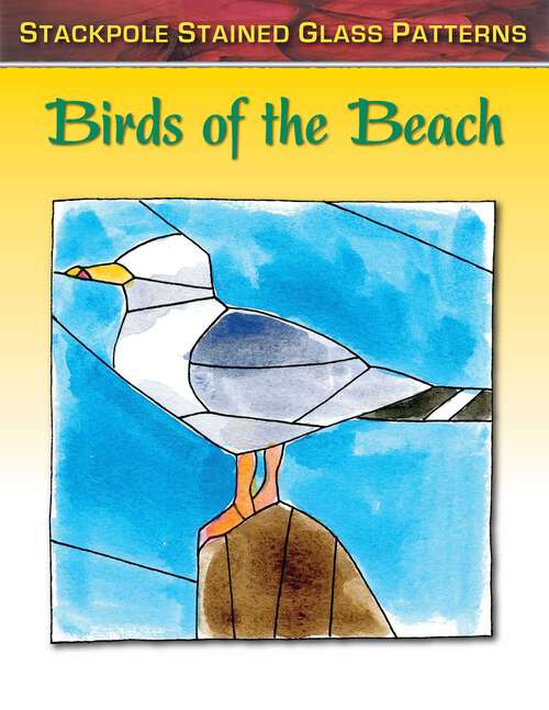 Book cover of Birds of the Beach (Stained Glass Patterns)