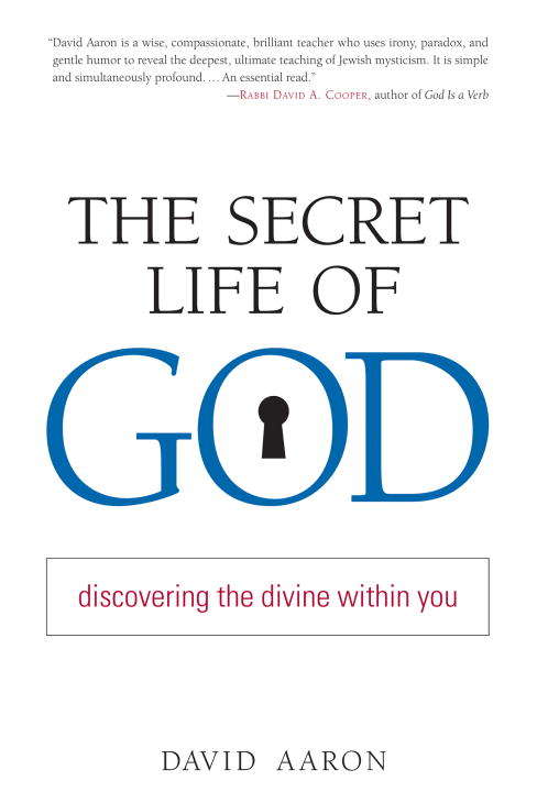 Book cover of The Secret Life of God: Discovering the Divine within You