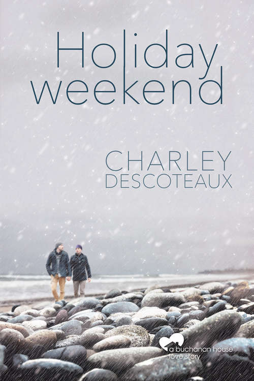 Book cover of Holiday Weekend