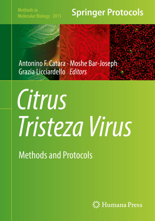 Citrus Tristeza Virus: Methods and Protocols (Methods in Molecular Biology #2015)