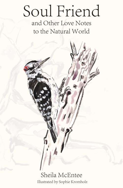 Book cover of Soul Friend: And Other Love Notes to the Natural World